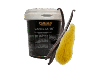 Pasta waniliowa (Vanilla „IN”)