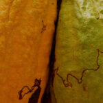 Veliche Rainforest Alliance certified cocoa