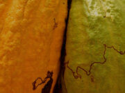 Veliche Rainforest Alliance certified cocoa
